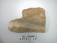 藏品(大型長條形石器)的圖片